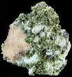 Lustrous, Epidote Crystal Cluster with Quartz - Morocco #49420-1